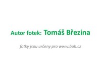 autor fotek autor fotek