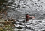 Pavel Pavel