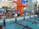 aktualita 230